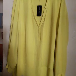 Designer Long Sleeve Plus Size Blouse